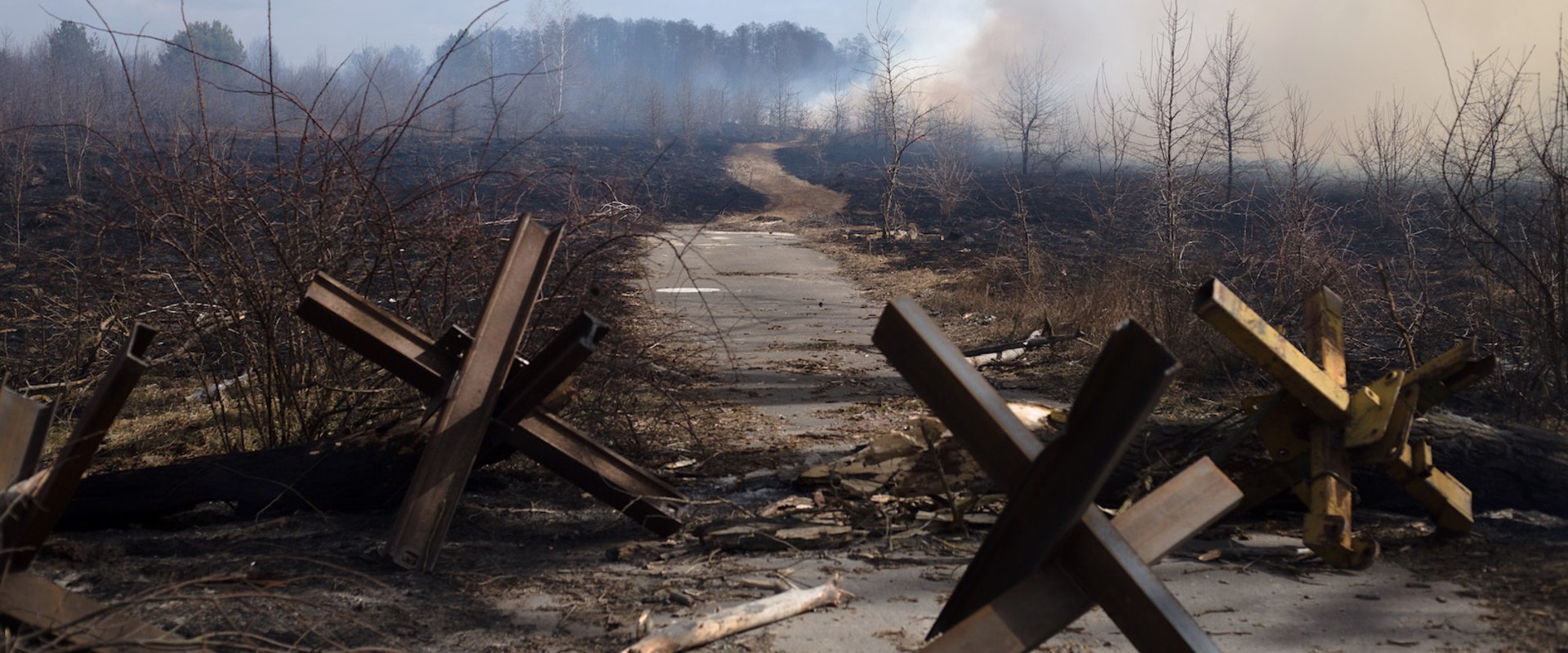 The Consequences of Neglecting Environmental Conservation in Herndon, VA