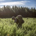 The Impact of Population Growth on Environmental Conservation in Herndon, VA