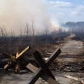 The Consequences of Neglecting Environmental Conservation in Herndon, VA